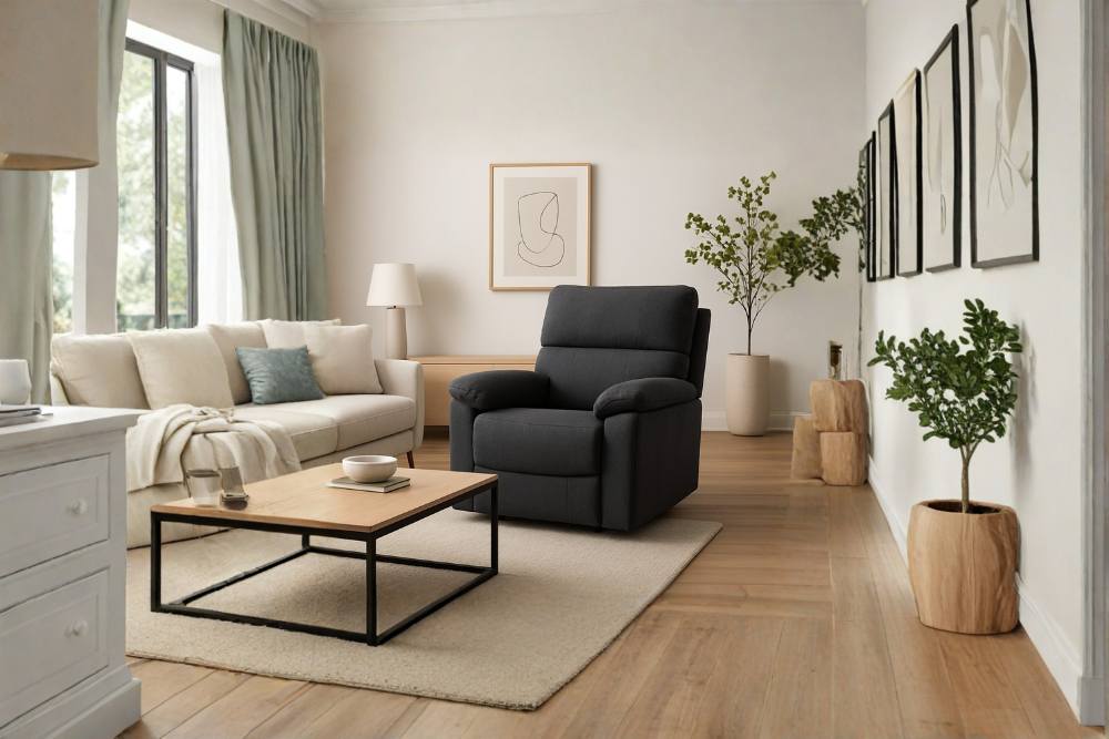 כורסת טלוויזיה סטנד אפ