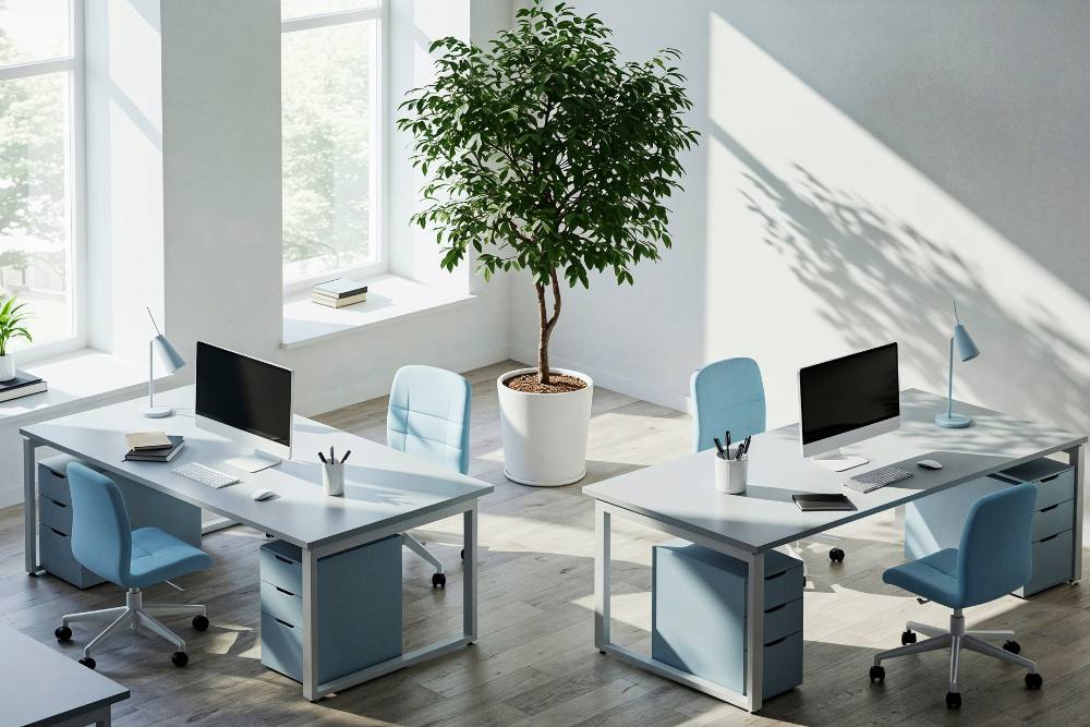 כסאות משרד אקולוגיים וריהוט ידידותי לסביבה